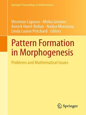 cover image of Pattern Formation in Morphogenesis